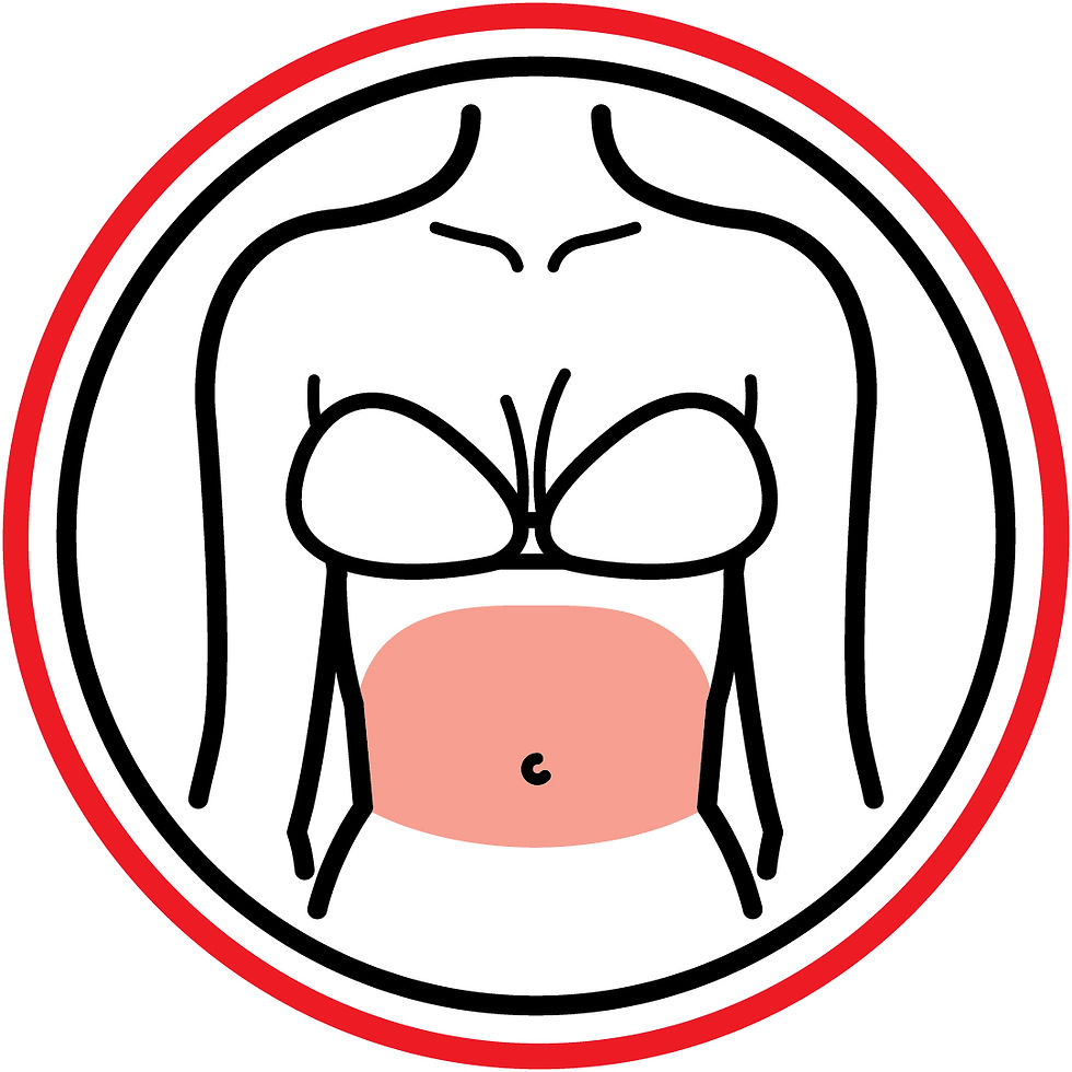JP Icon 15a Stomach