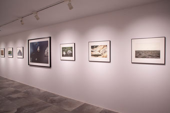 4月のオープンデーの日程です、お知らせが遅くなりました