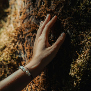 Certificados de sostenibilidad de nuestras marcas: Un compromiso global