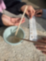 Introduction to horticulture and Level 1 Accredited Outdoor Learning Practitioner