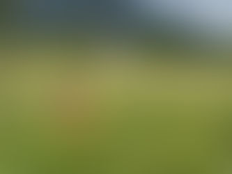 Was der Sommer hinterlässt