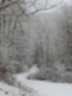 Winter Wonderland