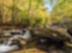 Secluded Nature
