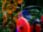 Thumbnail: The Tube Discs (24”)