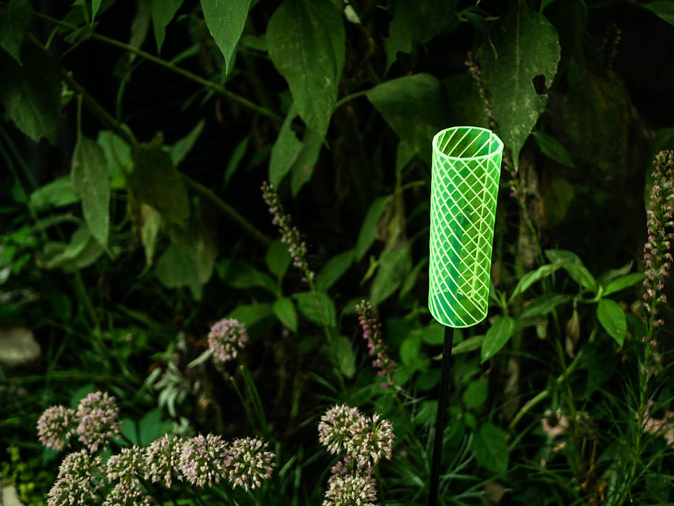 Thumbnail: The Cattail (single)