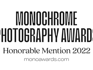 #100 | MONOCHROME AWARDS