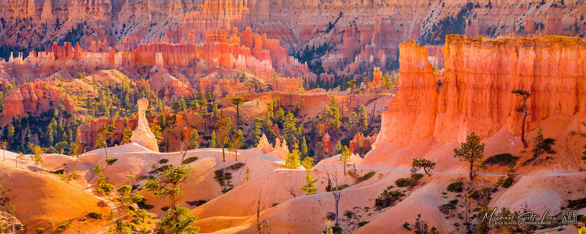 Navajo Loop Trail at Bryce Canyon National Park, America. Michael Scott Lees fine art photographic prints for sale