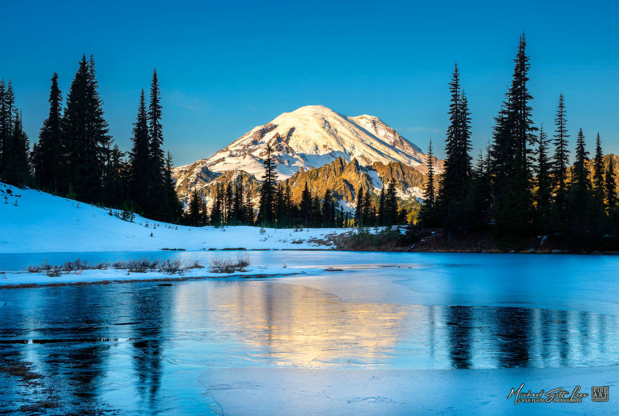 View of Mt Rainier in Mount Rainier National Park, Washington State, America. Michael Scott Lees fine art photographic prints