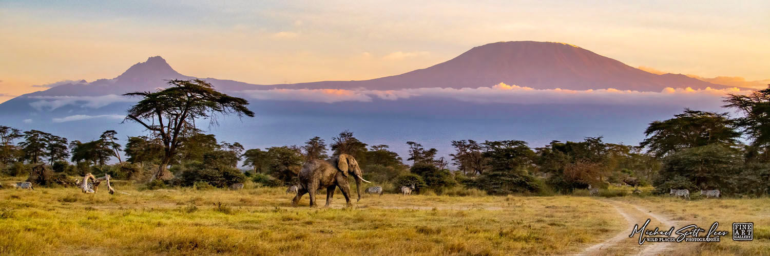 Bull elephant on dust in front of Mt Kilimanjaro in Kimana Sanctuary, Kenya, Michael Scott Lees fine art photographic prints