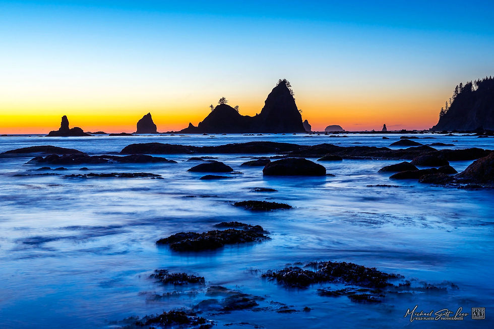 Rock platform near Rialto Beach in Olympic Coast National Park, Washington State, America. Michael Scott Lees fine art photo