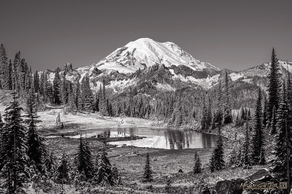 View of Mt Rainier in Mount Rainier National Park, Washington State, America. Michael Scott Lees fine art photographic prints
