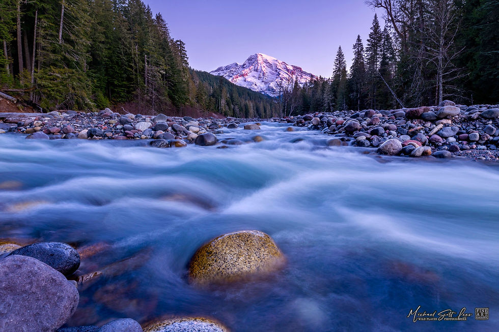 Nisqually River and Mt Rainier in Mount Rainier National Park, Washington State, America. Michael Scott Lees fine art photo