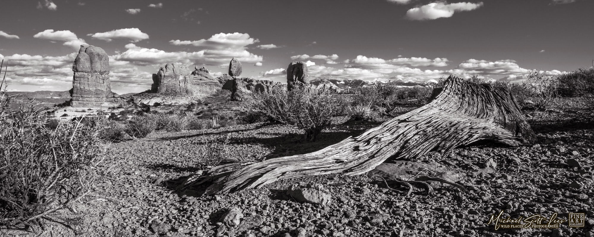 Balanced Rock in the Arches National Park, America. Michael Scott Lees fine art photographic prints for sale