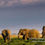 Thumbnail: Elephants and Mt Kilimanjaro in Amboseli National Park, Michael Scott Lees fine art photographic prints for sale