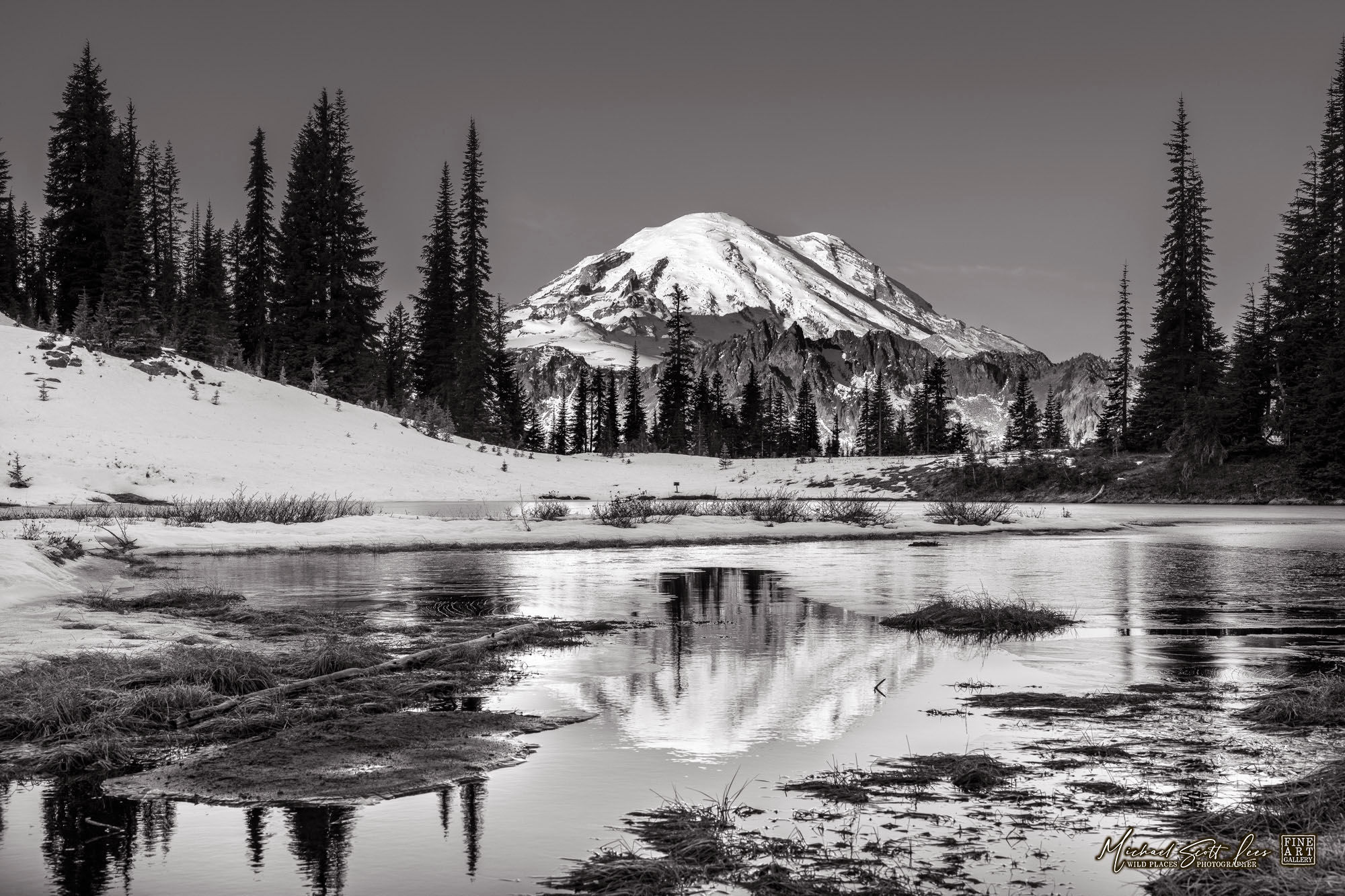View of Mt Rainier in Mount Rainier National Park, Washington State, America. Michael Scott Lees fine art photographic prints