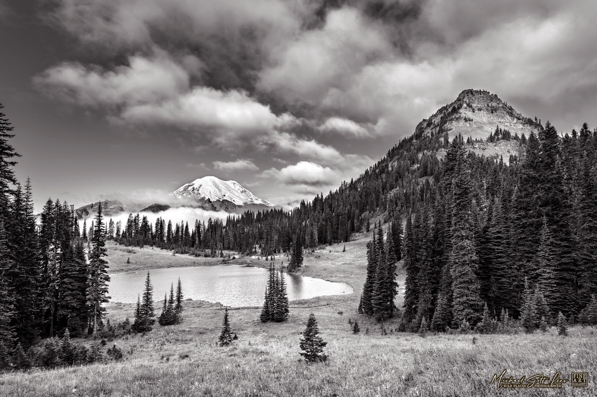 Tipsoo lake and Mt Rainier in Mount Rainier National Park, Washington State, America. Michael Scott Lees fine art photograph