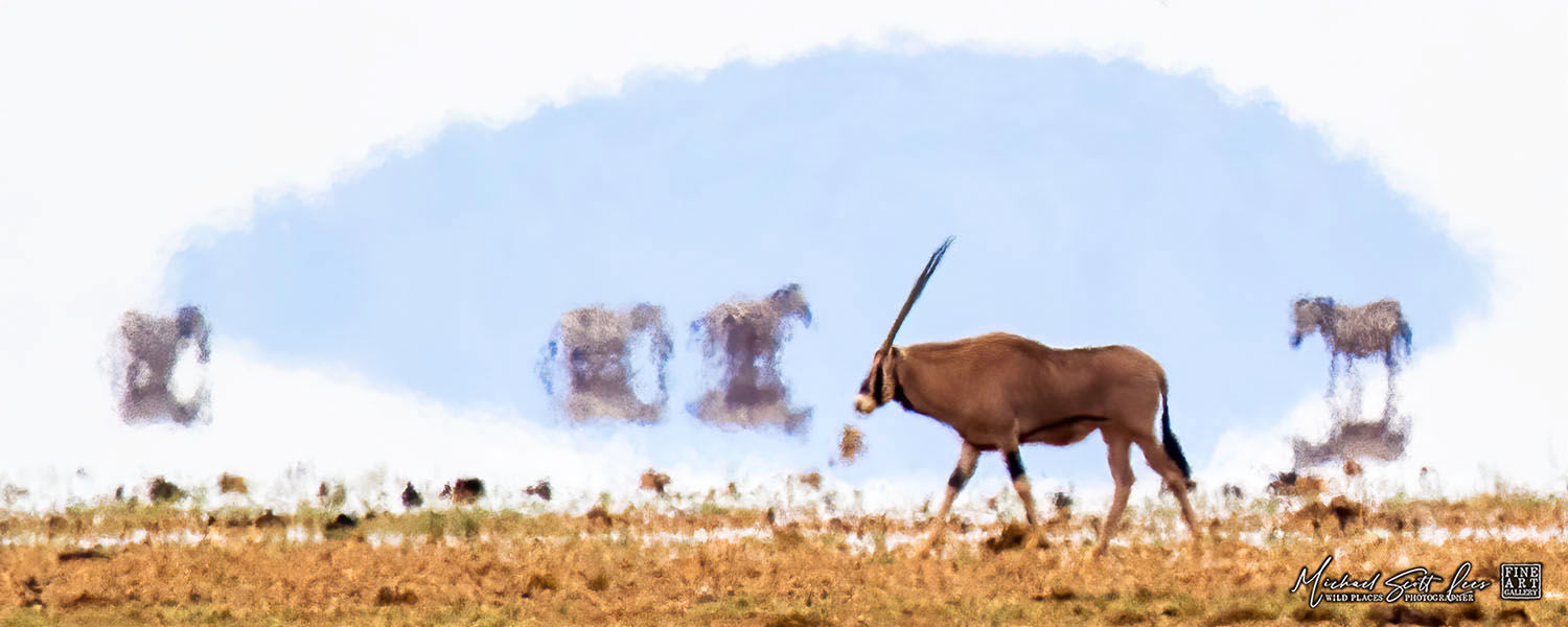 Oryx in a heat wave crossing a dead lake in Amboseli National Park, Michael Scott Lees fine art photographic prints for sale