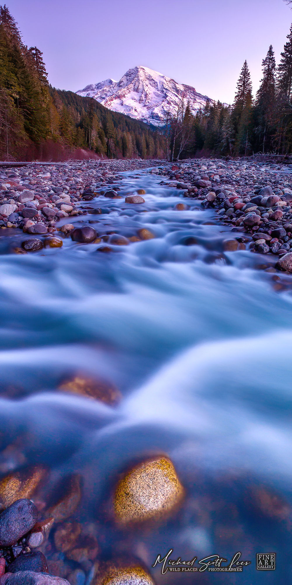 Nisqually River and Mt Rainier in Mount Rainier National Park, Washington State, America. Michael Scott Lees fine art photo