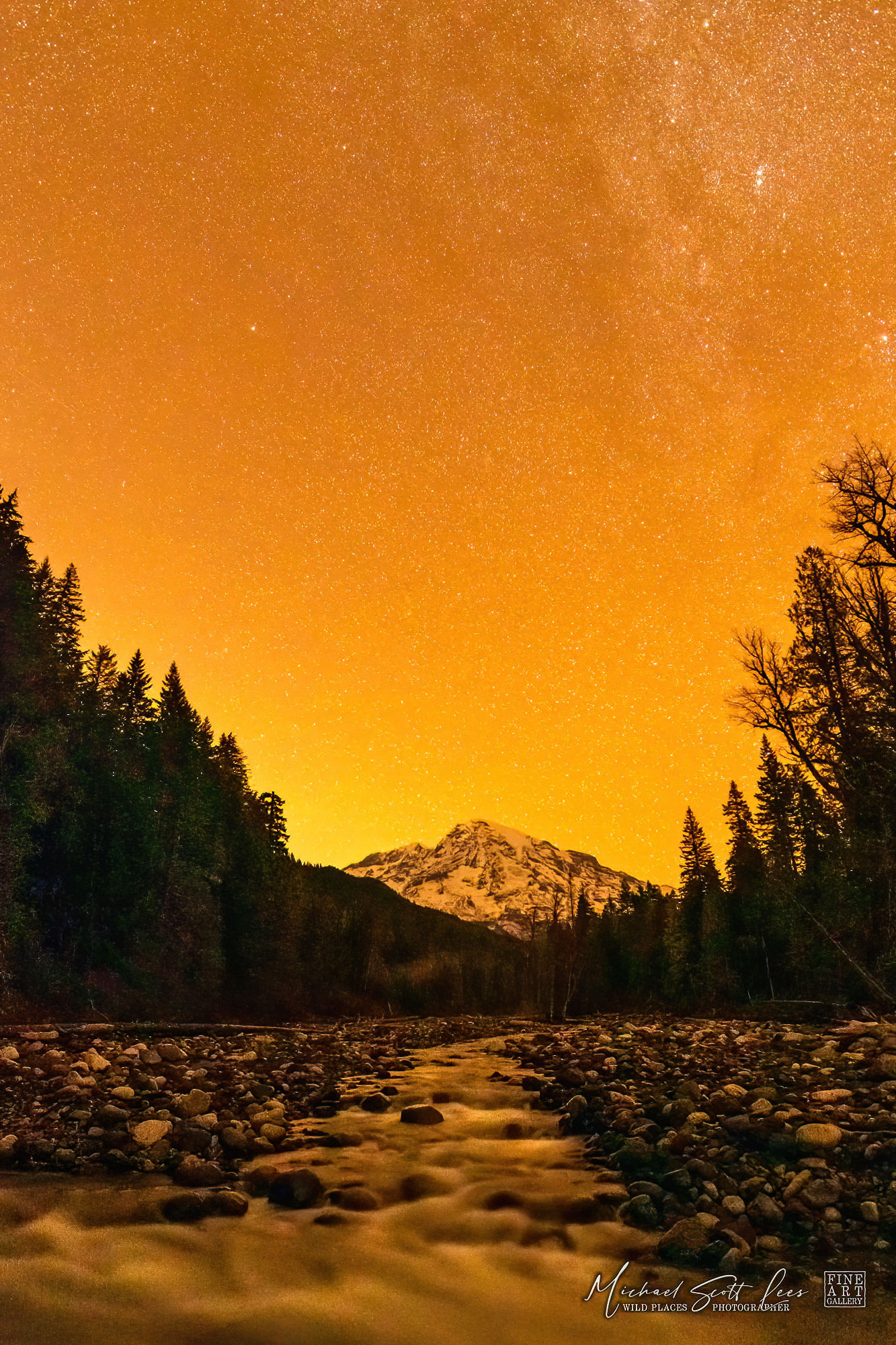 Nisqually River and Mt Rainier in Mount Rainier National Park, Washington State, America. Michael Scott Lees fine art photo
