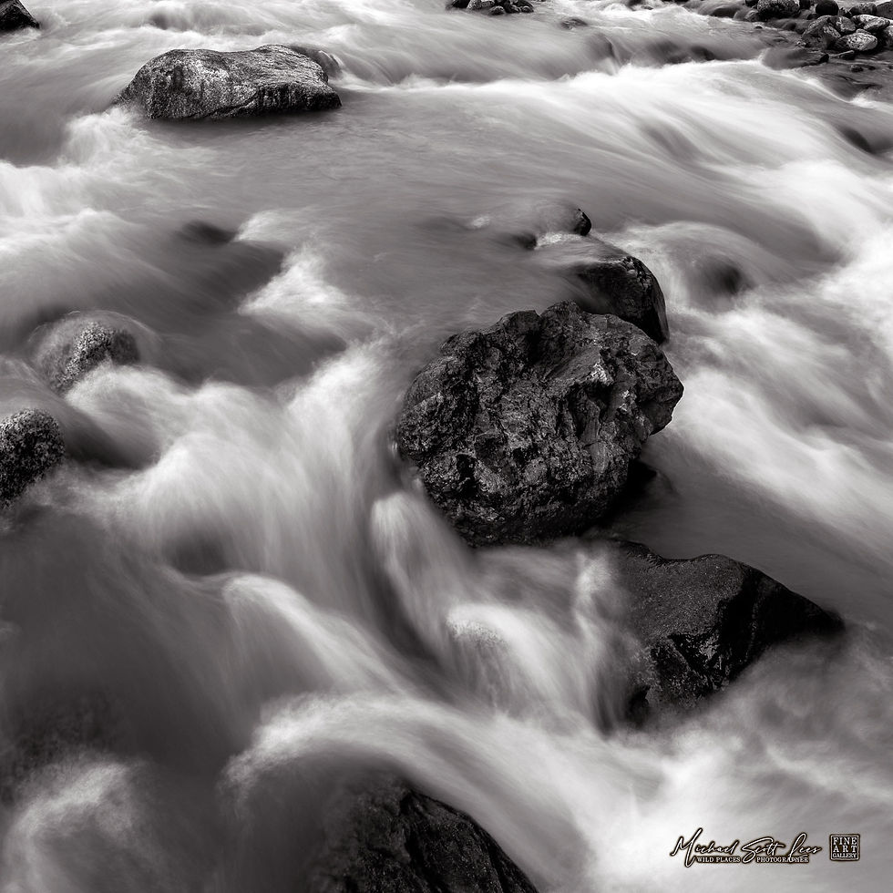 Nisqually River in Mount Rainier National Park, Washington State, America. Michael Scott Lees fine art photographic prints