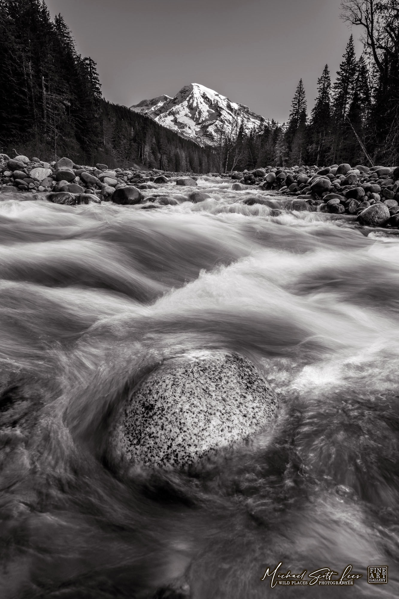 Nisqually River and Mt Rainier in Mount Rainier National Park, Washington State, America. Michael Scott Lees fine art photo