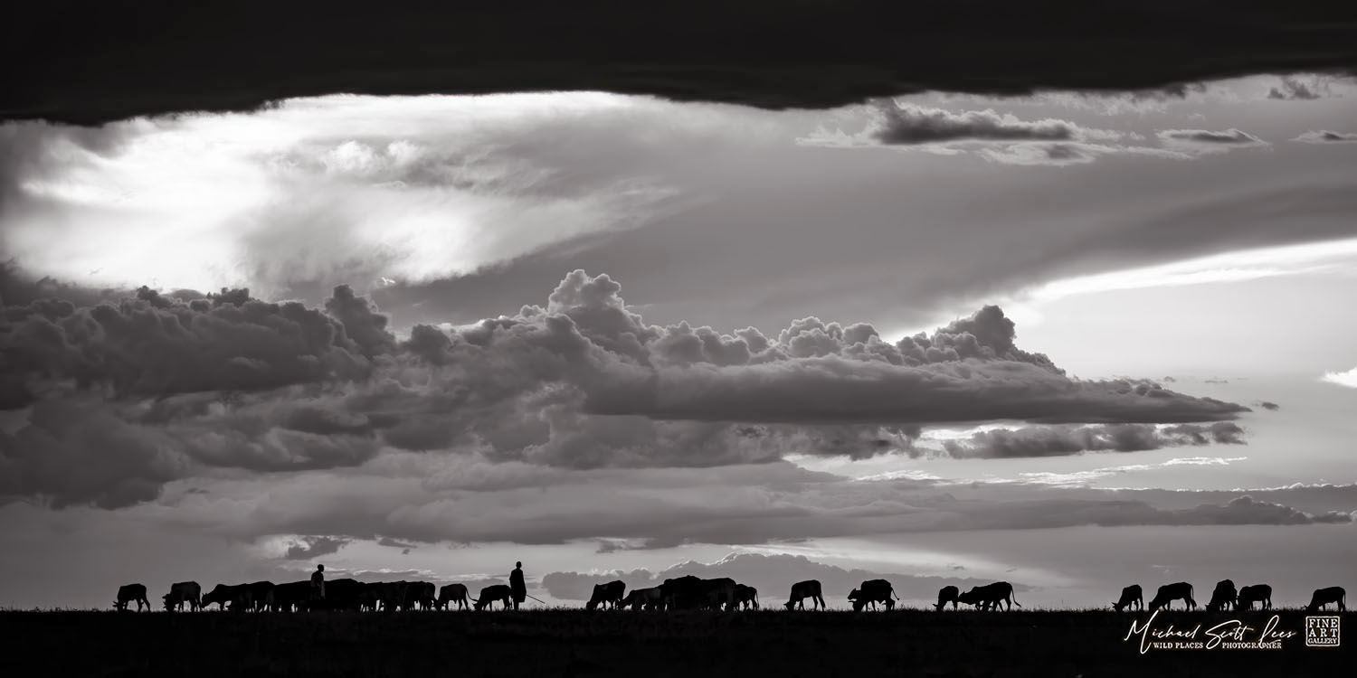 Maasai herdsmen and cattle silhouetted by storm clouds in Amboseli National Park, Kenya, Africa, Michael Scott Lees fine art