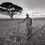 Thumbnail: Maasai Tribesman with acacia tree in Amboseli National Park, Kenya, Africa, Michael Scott Lees fine art photographic prints