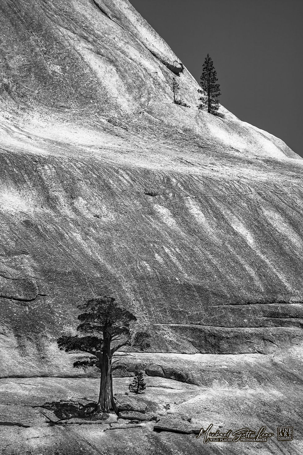 Rock slope on Tioga Rd in Yosemite National Park, America. Michael Scott Lees fine art photographic prints for sale