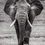 Thumbnail: Elephant on a dead lake in Amboseli National Park, Michael Scott Lees fine art photographic prints for sale
