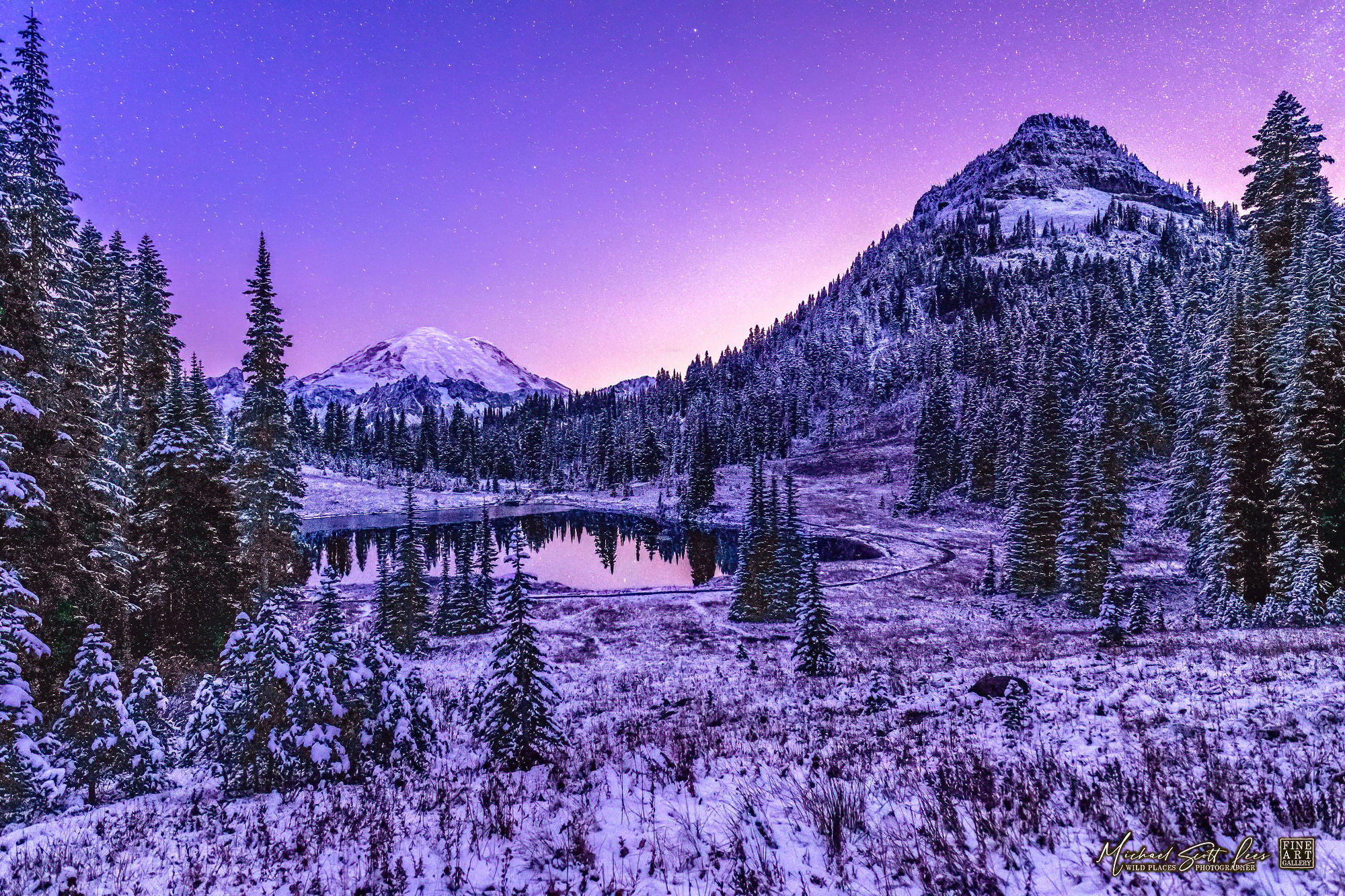 Tipsoo lake and Mt Rainier at night in Mount Rainier National Park, Washington State, America. Michael Scott Lees fine art
