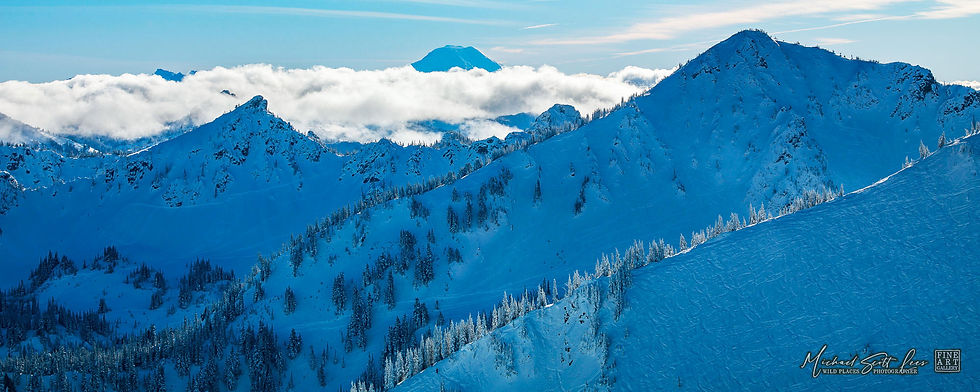 Mount Rainier National Park, Washington State, America. Michael Scott Lees fine art photographic prints for sale