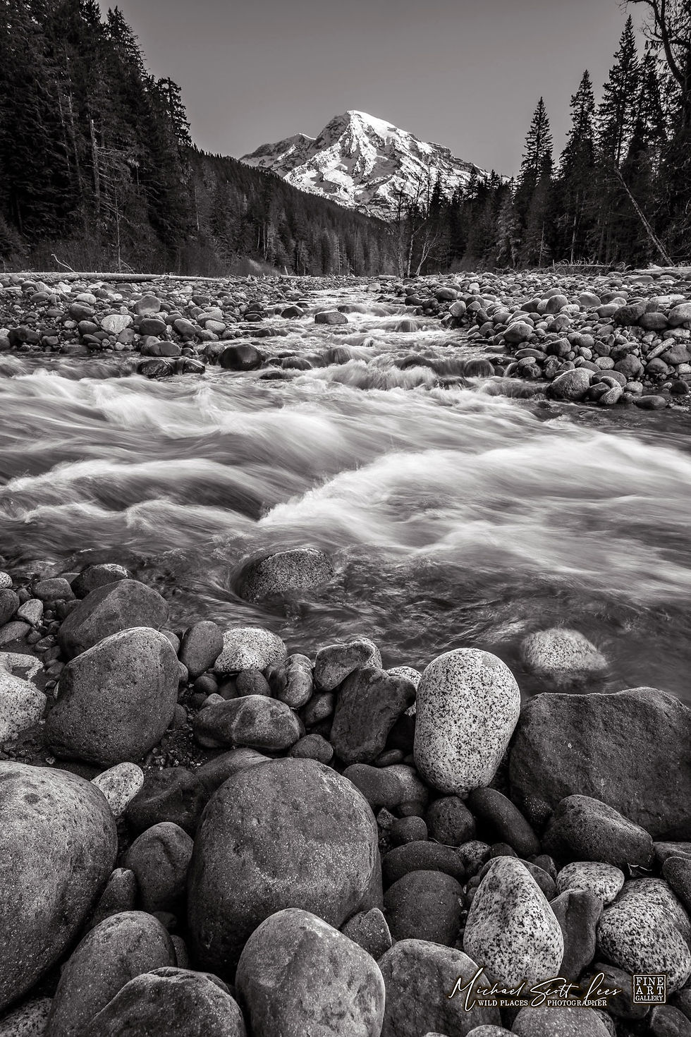 Nisqually River and Mt Rainier in Mount Rainier National Park, Washington State, America. Michael Scott Lees fine art photo