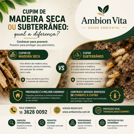 CUPIM DE MADEIRA SECA OU SUBTERRÂNEO: QUAL A DIFERENÇA?