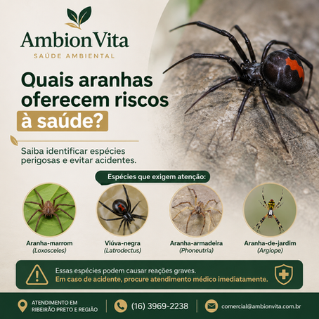 🕷️ Você sabe quais aranhas podem oferecer riscos à saúde?