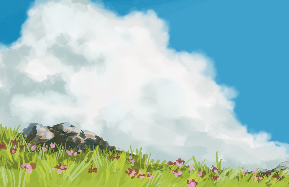 grass field