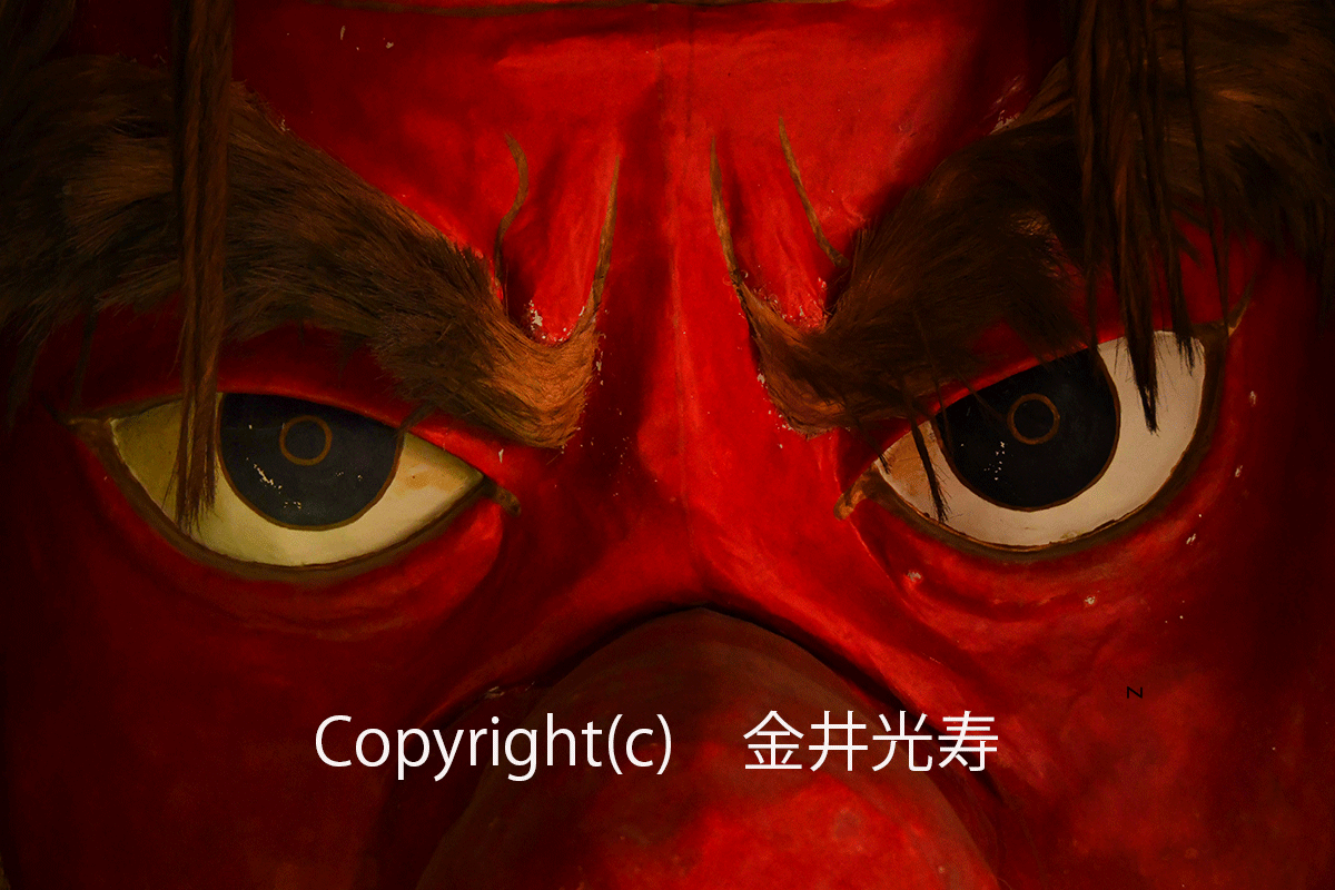 1-kanaiプリンデータ「眼光」 金井光寿DSC_4545.gif