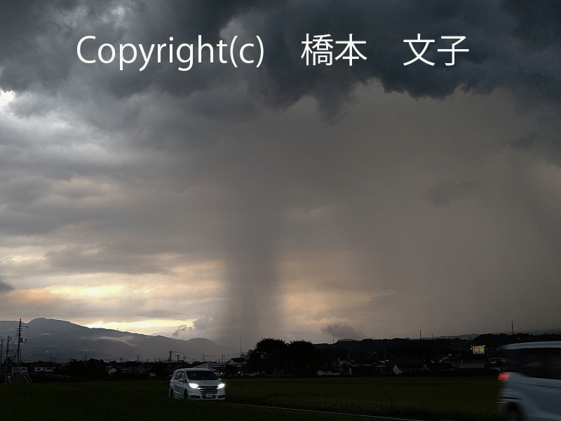 9月hasimot 橋本 雨柱立ちゲリラ豪雨 .gif