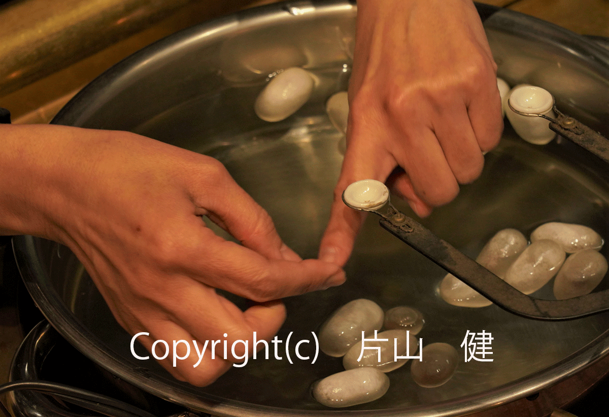 2.katayama片山健.JPG2020.10.gif