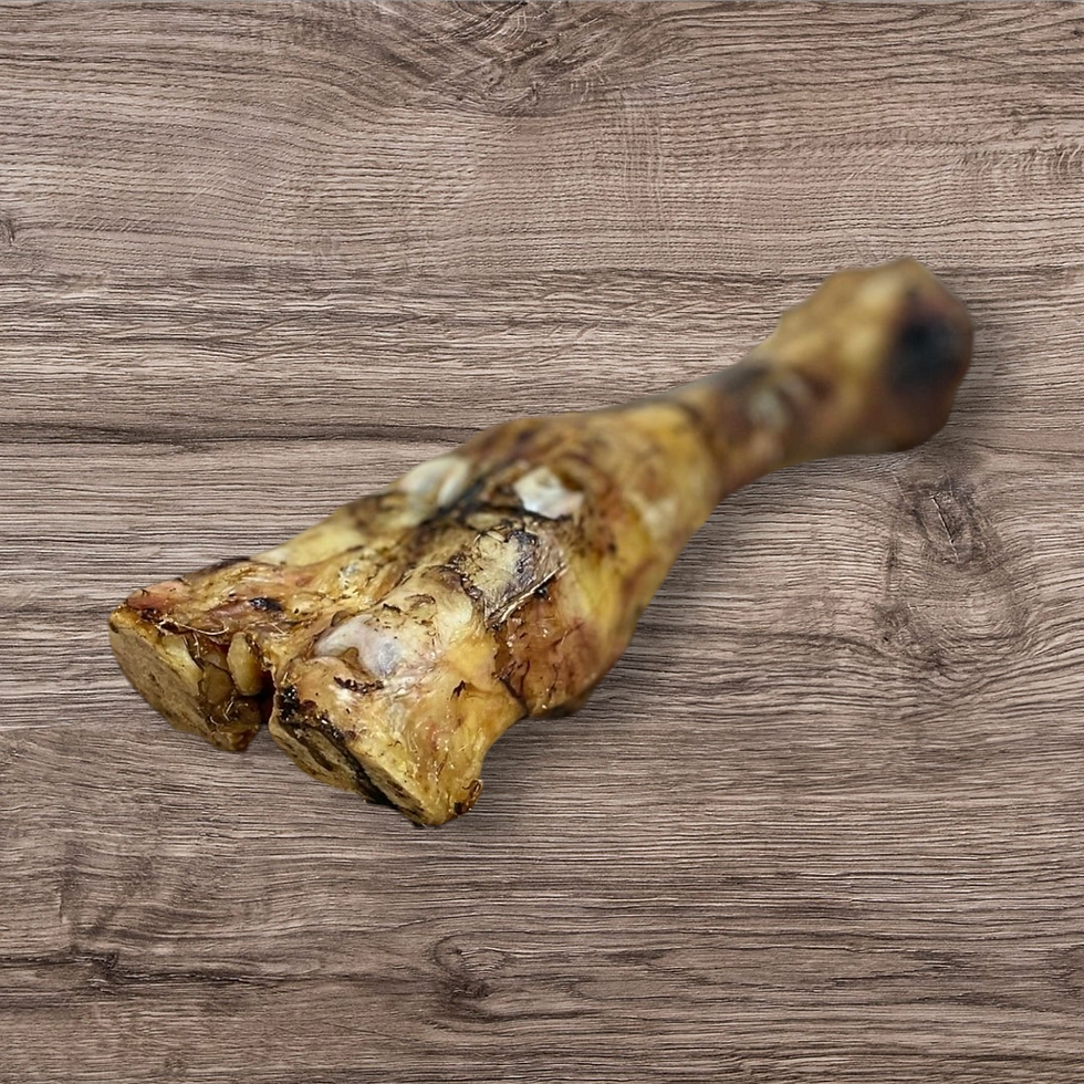 Thumbnail: Cow Leg bone 