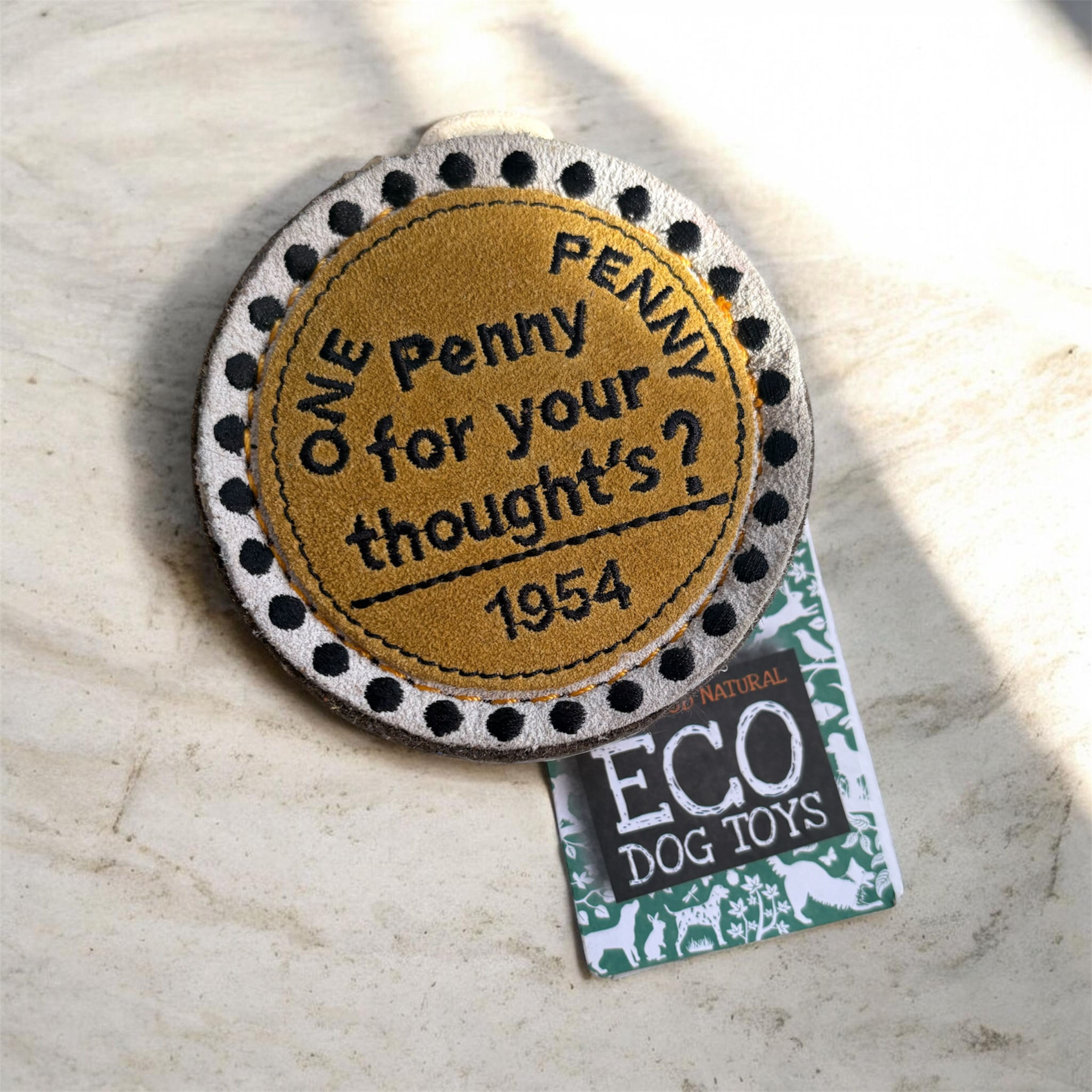 Penny for your Thoughts Eco Toy