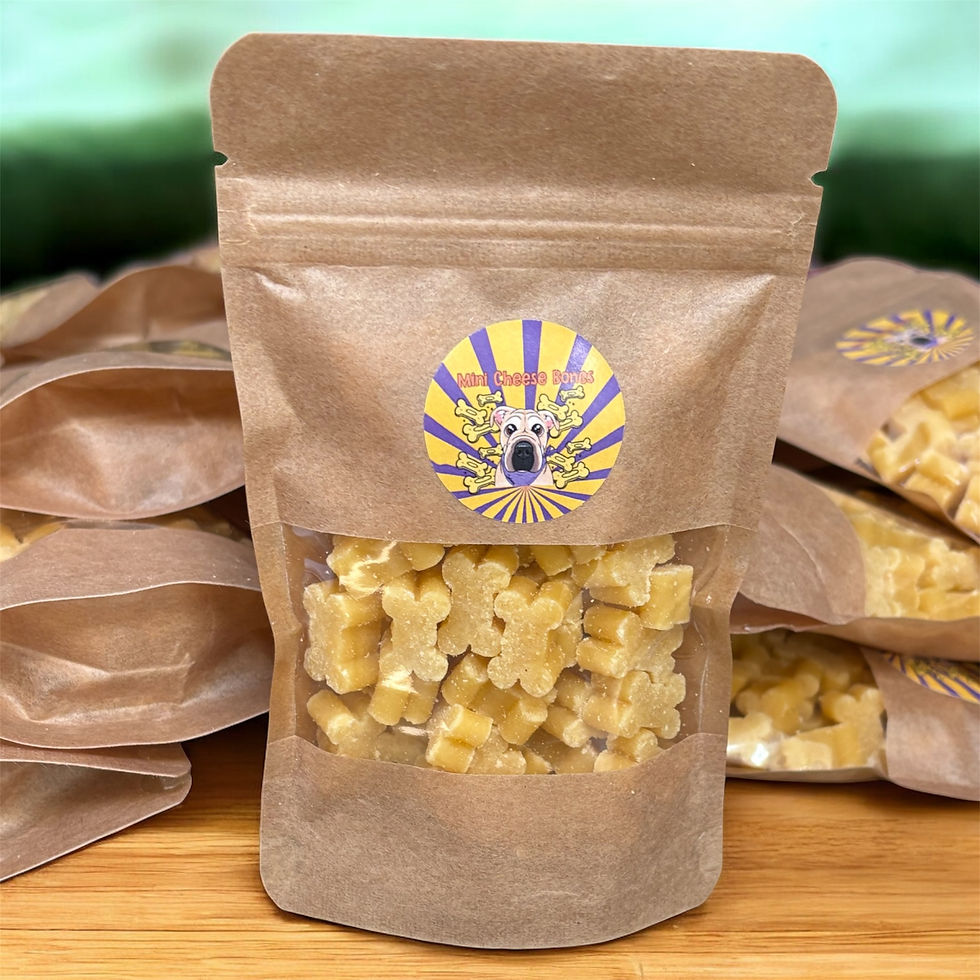 Eye-level view of a bowl filled with healthy pet treats next to a measuring spoon