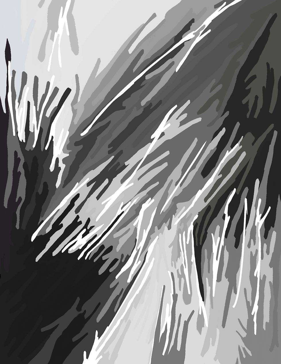 Luz e Sombra: Conexões Monocromáticas (77cm 60cm)