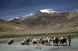 _MG_6085.jpg