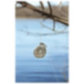 YOYO Fishing reel- YO100165
