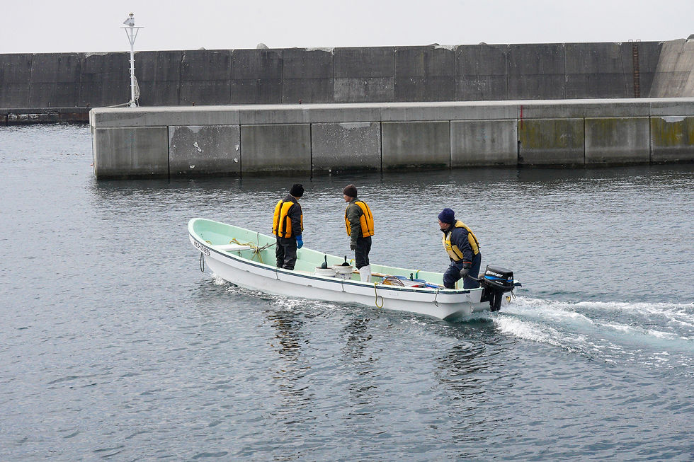 餌やり_DSC09916.jpg