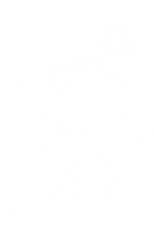 corps.png
