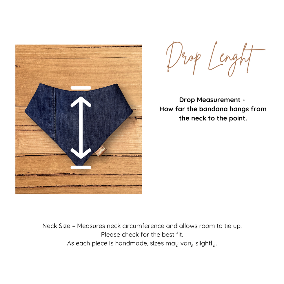 almost ready bandana