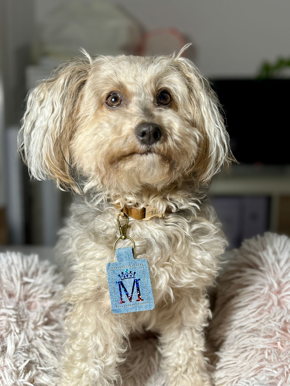 Thumbnail: Rectangle Tag - Large (Personalisation Required)