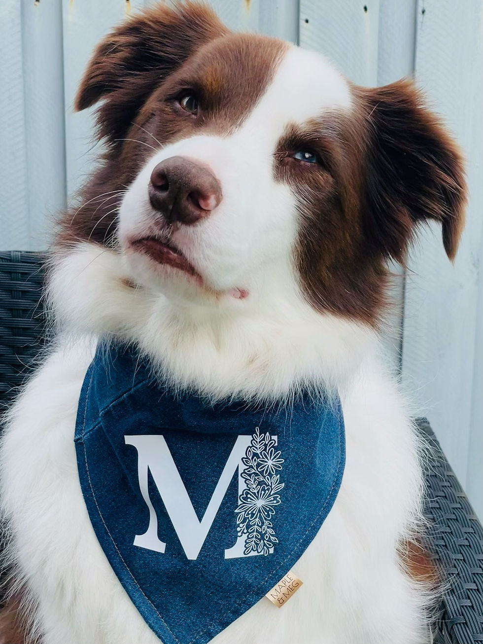 Thumbnail: Luxe Letters - Floral #2