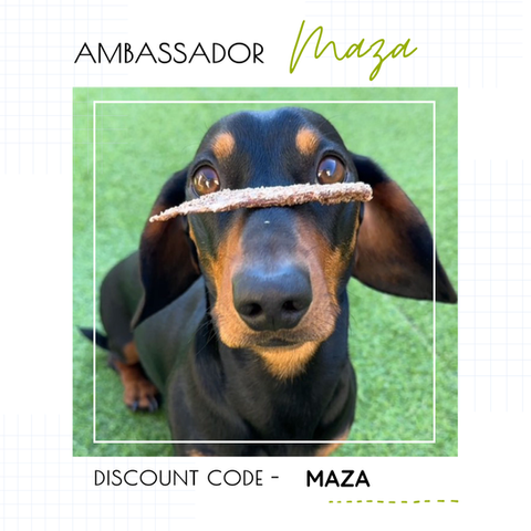 our brand ambassadors introductions and discount codes